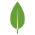 MongoDB